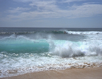 view8.gif (70853 bytes)